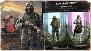 Карманный Сталкер ► Первый взгляд [upl. by Drahsar]