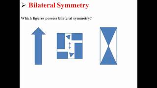 Bilateral Symmetry [upl. by Brownley]