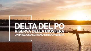 Delta del Po Riserva della Biosfera [upl. by Ttezzil]