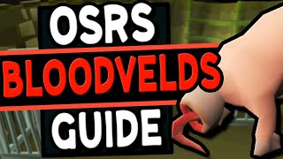 The Ultimate Bloodvelds Guide Old School Runescape [upl. by Fanny]