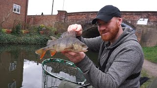 Catch 100s of Fish From Your Local Urban Canal [upl. by Aimat]