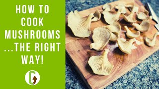 How To Cook Mushrooms The Right Way  GroCycle [upl. by Vandervelde]