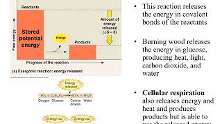 Chapter 7 Microbial Metabolism [upl. by Towroy]