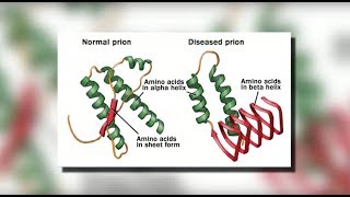 GCSE Biology  Communicable Disease 34 [upl. by Nylrats490]