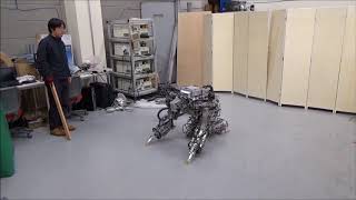 LifeSized Humanoid Robot Platform with Robustness for Falling Down [upl. by Mari]