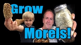 How to Grow Morel Mushrooms At HOME [upl. by Elleneg660]