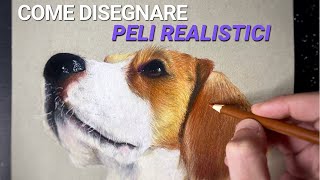 Come disegnare UN CANE REALISTICO  Incredibile TUTORIAL [upl. by Robertson]