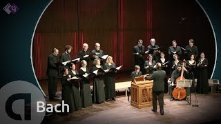 JS Bach Motet BWV 225 Singet dem Herrn  Vocalconsort Berlin [upl. by Cerelia]