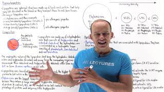 Introduction to lipoproteins [upl. by Tilford]