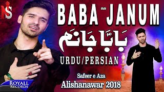 Ali Shanawar Baba Janum UrduPersian  2018  1440 [upl. by Airetahs]