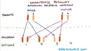 Understanding Autosomal Dominant and Autosomal Recessive Inheritance [upl. by Eirrok]