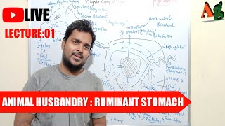 Animal Husbandry  Livestock  Digestive System of Cattle  Ruminant Stomach  Lecture1 [upl. by Lekim358]