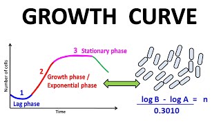 Growth curve [upl. by Merci]