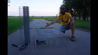 How to Build a PIGEON TRAP for feral pigeons [upl. by Yatnoed320]