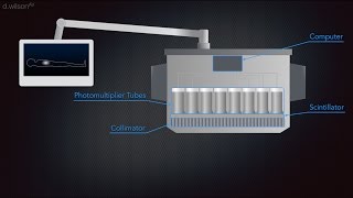 Gamma Camera Animation [upl. by Valdis]