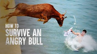 How to Survive a Charging Bull [upl. by Arlo597]