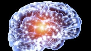 La neurogénèse  le développement du cerveau de A à Z [upl. by Odlawso]