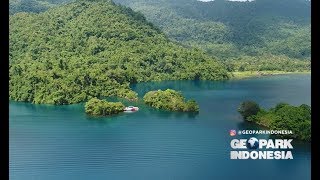 Danau Matano Danau Terdalam Asia Tenggara yang Dihuni Ikan Purba Part 1  Geopark Indonesia 2209 [upl. by Gherardo]