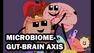 THE GUT MICROBIOME AND THE BRAIN [upl. by Thatch971]