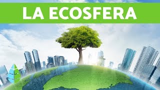 Qué es la ECOSFERA  ECOSISTEMAS pequeño documental [upl. by Savick]