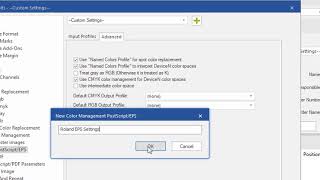 ErgoSoft Roland Edition  Color Management Settings [upl. by Eceinart]