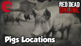 Pigs Locations rdr2 Online  Red Dead Online Pigs Location Guide [upl. by Vince]