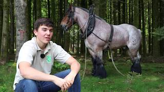 Antoine 17 ans débardeur et amoureux des chevaux de trait [upl. by Demmy]