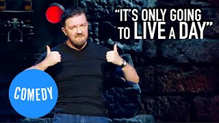 A Dog Is For Life  Ricky Gervais  Universal Comedy [upl. by West]