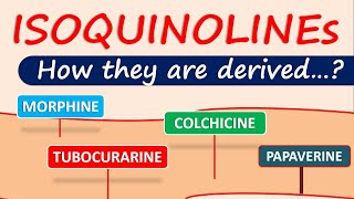 Isoquinoline alkaloids and drugs  How they are derived in plants [upl. by Rehportsirhc]