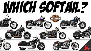 The HarleyDavidson Softail  Which One [upl. by Asela]