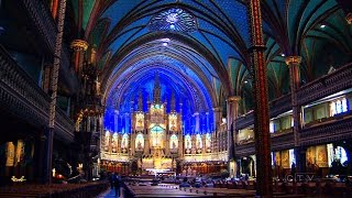 A new light The magnificent NotreDame Basilica revamped [upl. by Touber]