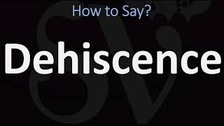 How to Pronounce Dehiscence CORRECTLY [upl. by Oberg19]