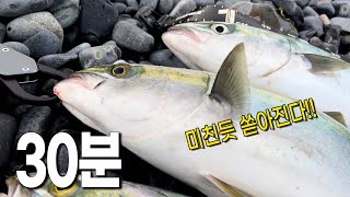 30분동안 미친듯 쏟아진 방어 으갸갸갸갸동해 서프루어 [upl. by Ignatia]