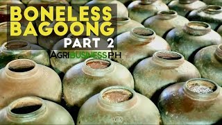 Boneless Bagoong Part 2  How to Make Boneless Bagoong and Alamang  Agribusiness Philippines [upl. by Iror]