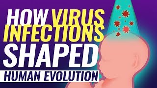 Virus DNA in human genome evolution by infection [upl. by Adiraf551]