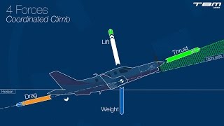 Principles of flight – Part 1  Fundamentals [upl. by Jamel]