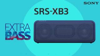 SRSXB3  Move to a deeper bass [upl. by Motteo]