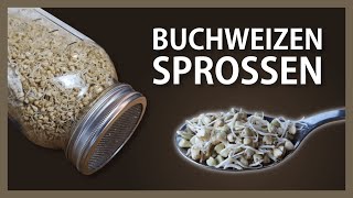 Buchweizen keimen lassen – Buchweizensprossen ziehen  Buchweizenkeimlinge – gekeimter Buchweizen [upl. by Hewart]