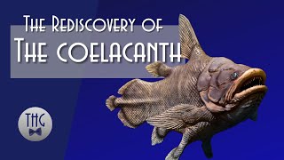 Loch Ness Outdone Rediscovery of the Coelacanth [upl. by Amak]