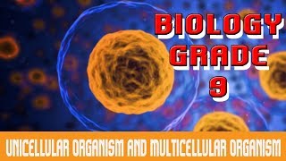 The Cell  Unicellular amp Multicellular Organisms  Introduction amp Comparison  Part 5 [upl. by Niddala]