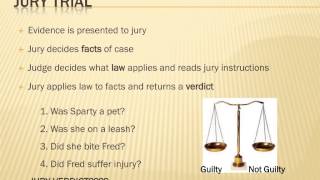 Steps in the Court Process Example [upl. by Grados]