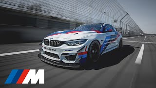 BMW M4 GT4 training an adventure on the tarmac [upl. by Onaivatco658]