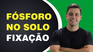 Fósforo no solo fixação [upl. by Emanuel959]