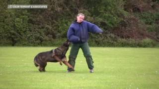 BEST POLICE DOG TRAINING [upl. by Phelan]