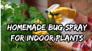 Homemade Bug Spray for Indoor Plants  HOW TO [upl. by Yasnil]