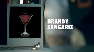 BRANDY SANGAREE DRINK RECIPE  HOW TO MIX [upl. by Baiel772]