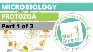 Protozoa  Microbiology  USMLE STEP 1  Part 1 of 3 [upl. by Laroy479]