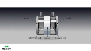 Principles of isothermal titration calorimetry ITC [upl. by Wilie]