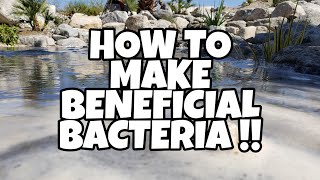 How to MAKE BENEFICIAL BACTERIA  How to tips [upl. by Leiand]