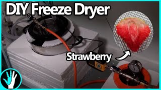 How to Build a Freeze Dryer [upl. by Fredkin]